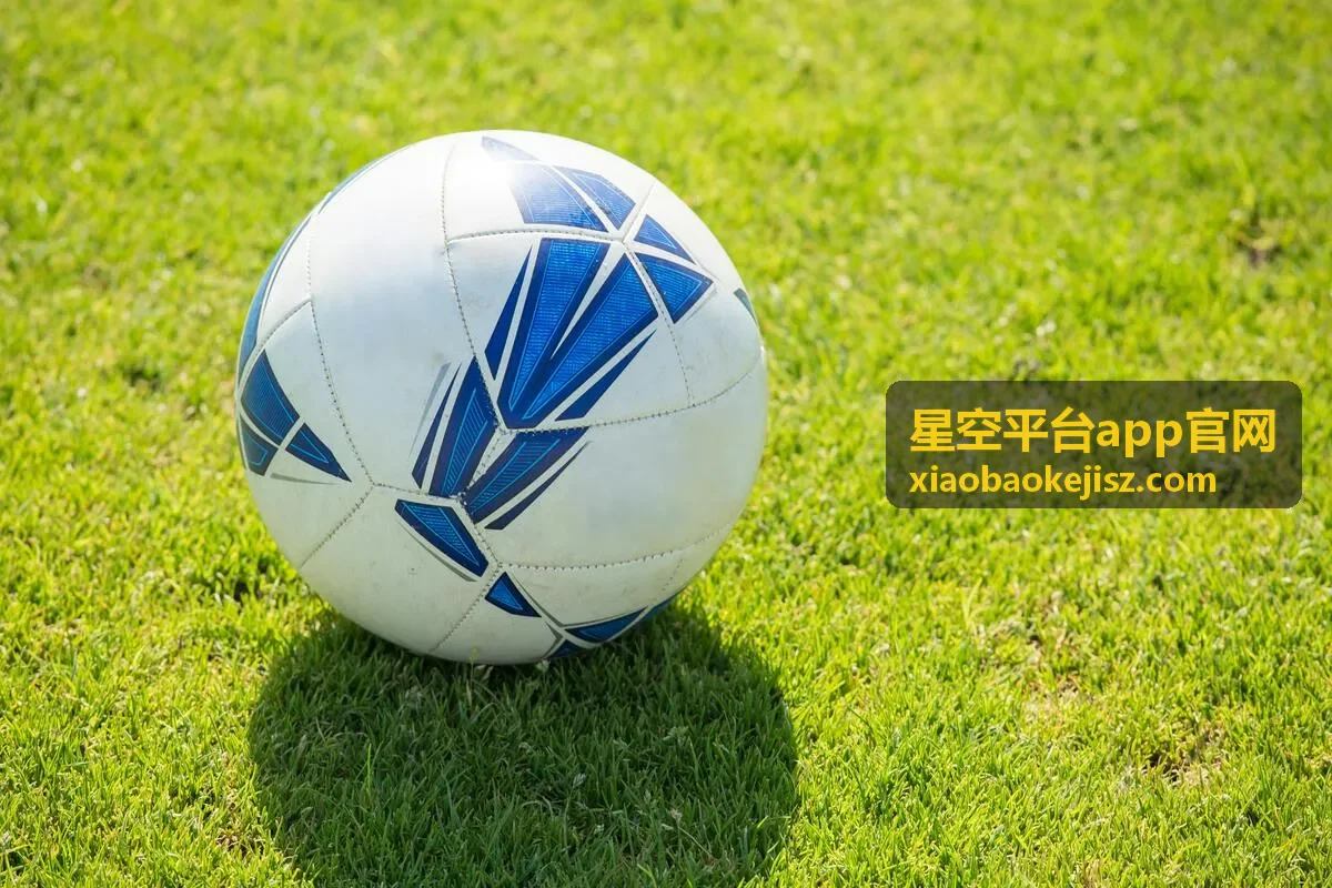 青春不说再见_星空平台
